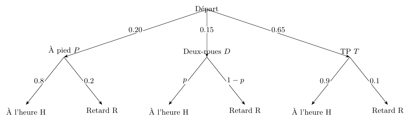 Figure — examen de maturité 2025 (niveau standard), problème 4 — mathématiques